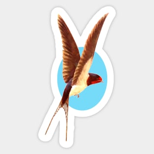 Brown-winged little bird flying Sticker